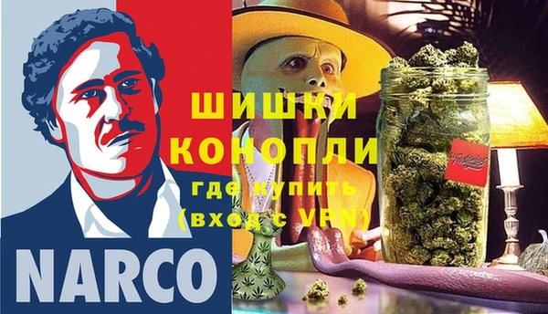 дживик Касимов