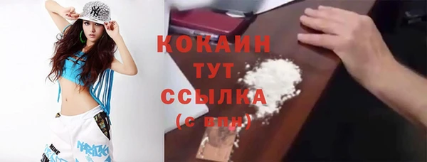 прущие грибы Карталы