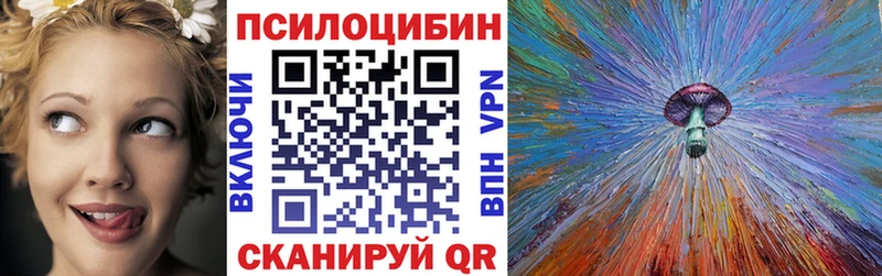 цена наркотик  Торопец  KRAKEN зеркало  Галлюциногенные грибы GOLDEN TEACHER 